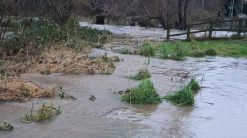 Flooding in Cheadle constituency